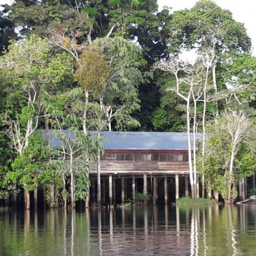 WhatsApp-Image-2018-12-17-at-10.15.45-AM-1